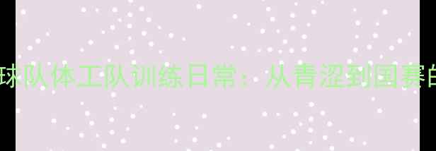 图片 🏓！省乒乓球队体工队训练日常：从青涩到国赛的蜕变之路2