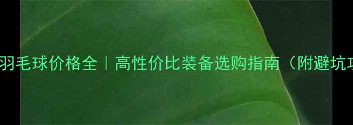 图片 🏸10款羽毛球价格全｜高性价比装备选购指南（附避坑攻略）2
