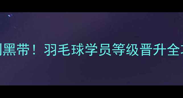 图片 🏸5步通关指南零基础到黑带！羽毛球学员等级晋升全攻略（附训练计划表）1