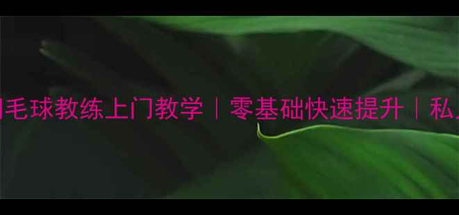 图片 🏸丰台区羽毛球教练上门教学｜零基础快速提升｜私人定制课程