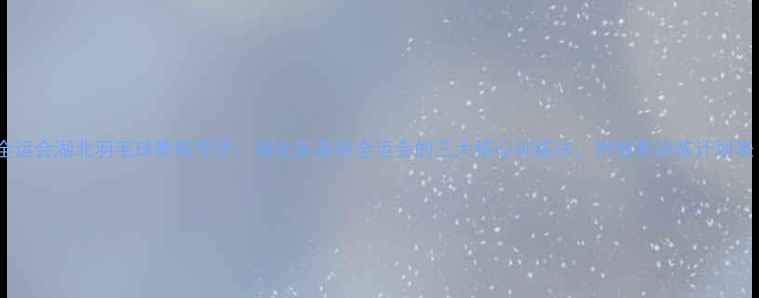 图片 🏸全运会湖北羽毛球教练专访：湖北队备战全运会的三大核心训练法，附独家训练计划表！1