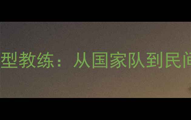 图片 🏸八一羽毛球队传奇队长退役后转型教练：从国家队到民间教学，职业运动员的另一种人生1
