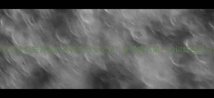 图片 🏸印尼羽毛球传奇安赛龙全英赛夺冠全记录！世界排名第一的训练密码与装备清单