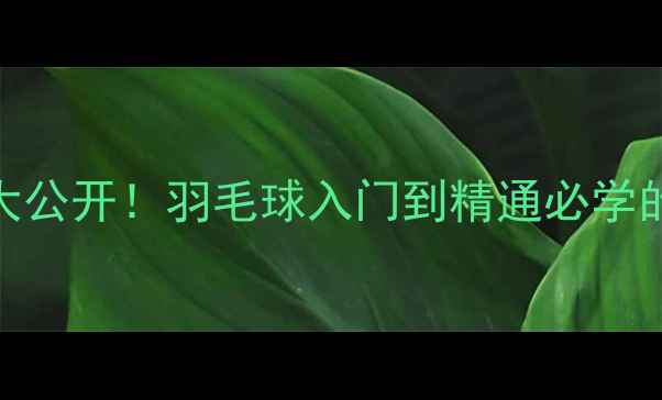 图片 🏸压线技巧大公开！羽毛球入门到精通必学的控球秘籍💡