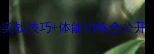 图片 🏸尤杯冠军亲授！羽毛球实战技巧+体能训练全公开（附国家队训练视频）🏸1