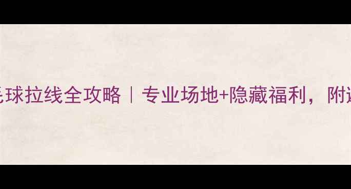图片 🏸惠州羽毛球拉线全攻略｜专业场地+隐藏福利，附避坑指南🏸