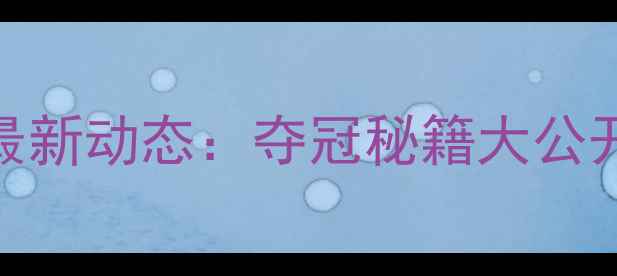图片 🏸新加坡羽毛球男双国家队最新动态：夺冠秘籍大公开！附训练技巧与赛事分析🌟