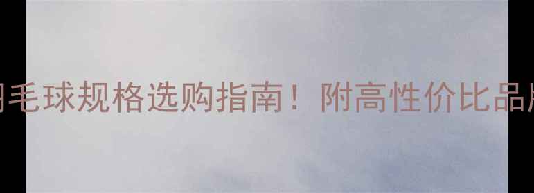 图片 🏸新手必看最新羽毛球规格选购指南！附高性价比品牌推荐+保养技巧1