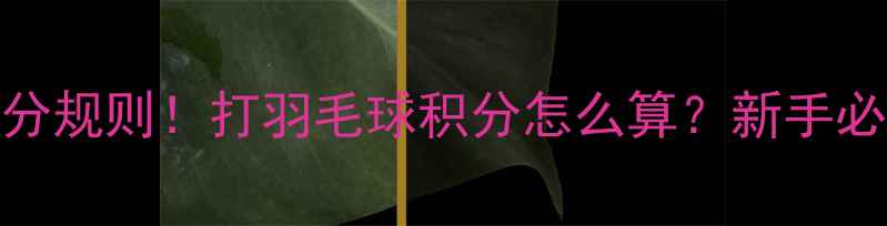 图片 🏸最新羽毛球积分规则！打羽毛球积分怎么算？新手必看保姆级攻略🏸