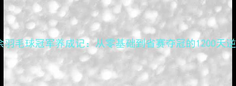 图片 🏸武汉业余羽毛球冠军养成记：从零基础到省赛夺冠的1200天逆袭之路🏆2