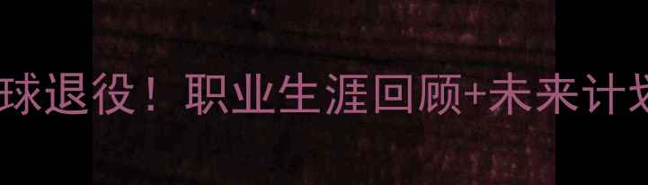 图片 🏸洪伟羽毛球退役！职业生涯回顾+未来计划大公开！1