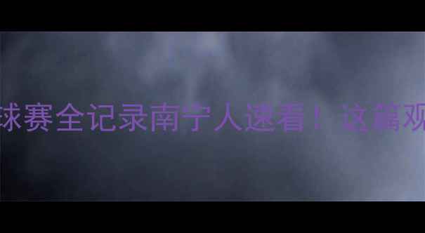 图片 🏸热血对决！南宁红牛羽毛球赛全记录南宁人速看！这篇观赛指南让你秒变赛事达人！