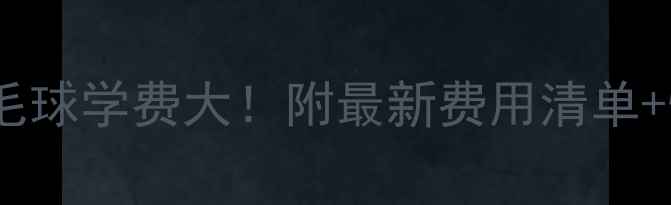 图片 🏸网球vs羽毛球学费大！附最新费用清单+性价比对比2