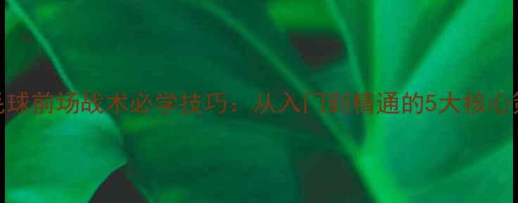 图片 🏸羽毛球前场战术必学技巧：从入门到精通的5大核心策略🏸