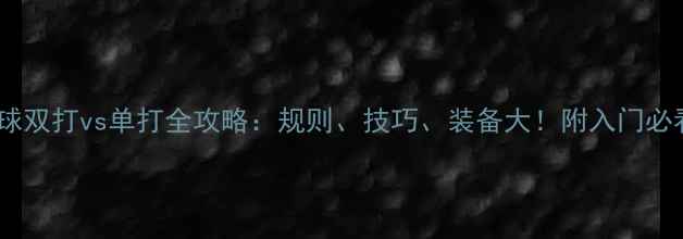 图片 🏸羽毛球双打vs单打全攻略：规则、技巧、装备大！附入门必看指南1