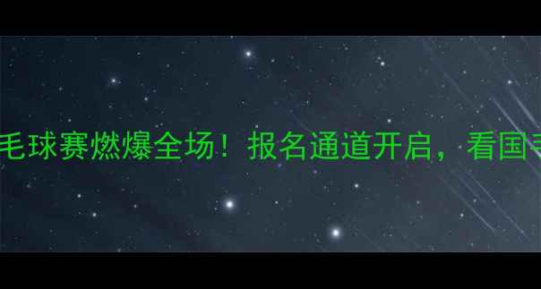 图片 🏸贝特杯羽毛球赛燃爆全场！报名通道开启，看国手同场竞技2