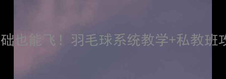 图片 🏸零基础也能飞！羽毛球系统教学+私教班攻略🏸2