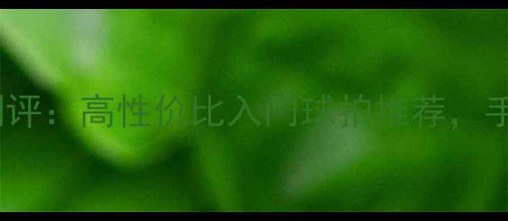 图片 🏸飞峰羽毛球74测评：高性价比入门球拍推荐，手把手教你选装备1