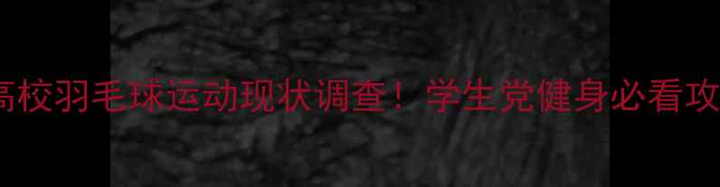 图片 🏸高校羽毛球运动现状调查！学生党健身必看攻略1