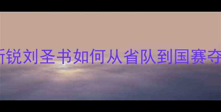 图片 🏸！辽宁羽毛球新锐刘圣书如何从省队到国赛夺冠的7年逆袭路🏆