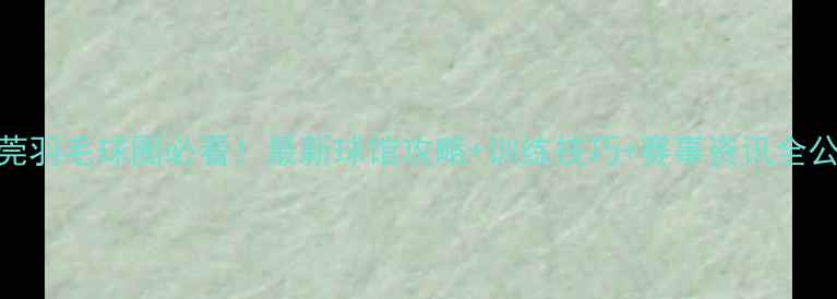 图片 💥东莞羽毛球圈必看！最新球馆攻略+训练技巧+赛事资讯全公开🏸