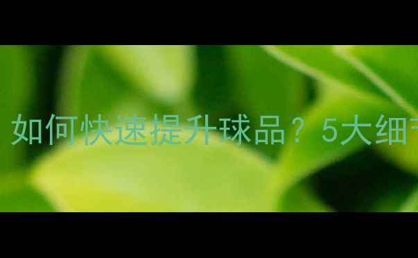 图片 📌乒乓球入门必看！如何快速提升球品？5大细节决定你的技术水平