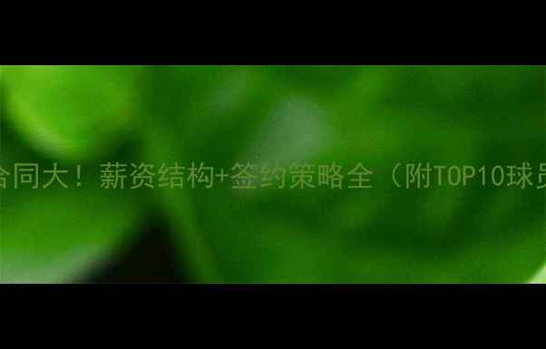 图片 📌球员合同大！薪资结构+签约策略全（附TOP10球员数据）