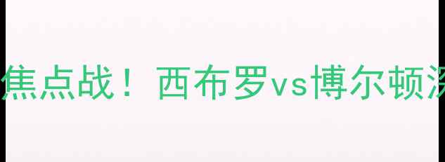 图片 📜英超焦点战！西布罗vs博尔顿深度🏆2