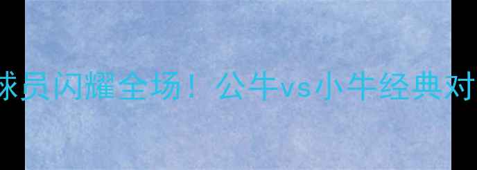 图片 🔥124号球员闪耀全场！公牛vs小牛经典对决深度🔥