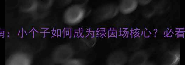 图片 🔥165cm中场球员逆袭指南：小个子如何成为绿茵场核心？必看体能+技术训练全攻略🔥1
