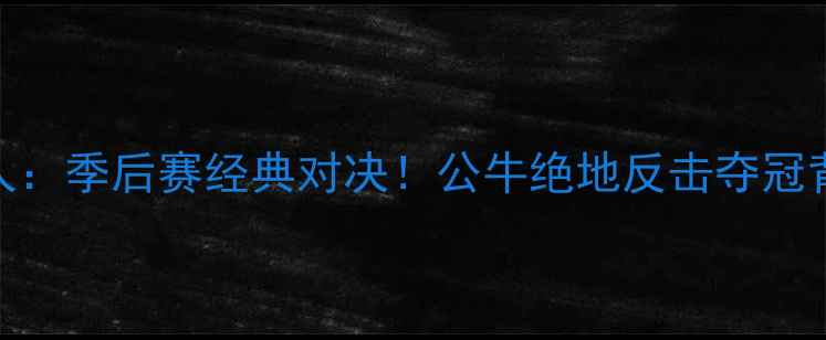 图片 🔥2009公牛VS湖人：季后赛经典对决！公牛绝地反击夺冠背后的战术与传奇
