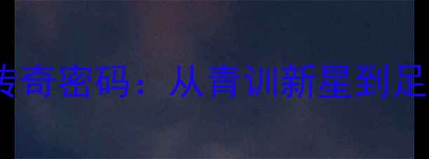 图片 🔥24号球衣的传奇密码：从青训新星到足坛顶流的全🔥1