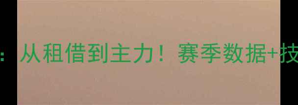 图片 🔥AC米兰39号莱奥：从租借到主力！赛季数据+技术+未来转会全🔥1