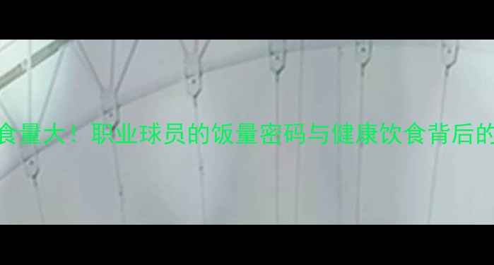 图片 🔥CBA球员食量大！职业球员的饭量密码与健康饮食背后的训练秘密2