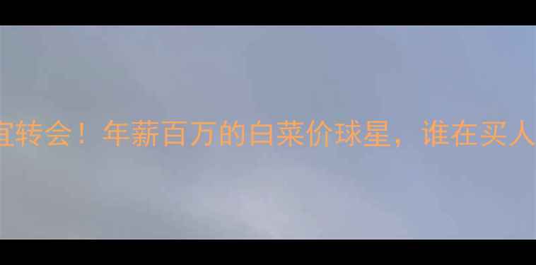 图片 🔥FIFA最便宜转会！年薪百万的白菜价球星，谁在买人形工具人？2