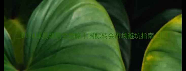 图片 🔥FIFA球员租借全攻略｜国际转会市场避坑指南🔥💡1