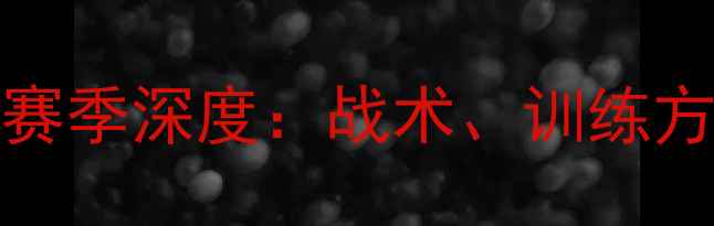 图片 🔥Gallatin球员赛季深度：战术、训练方法与成长故事🔥