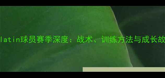 图片 🔥Gallatin球员赛季深度：战术、训练方法与成长故事🔥2