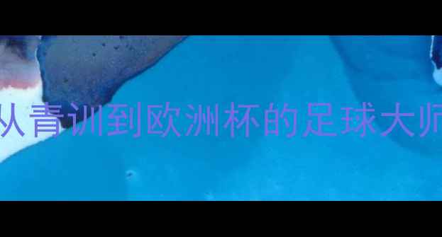 图片 🔥Hernanes球员职业养成记：从青训到欧洲杯的足球大师课（附训练技巧+职业建议）2