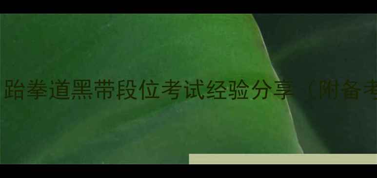 图片 🔥ITF黑带考试全攻略｜跆拳道黑带段位考试经验分享（附备考时间表+训练技巧）🔥1