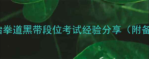 图片 🔥ITF黑带考试全攻略｜跆拳道黑带段位考试经验分享（附备考时间表+训练技巧）🔥2