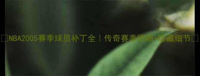 图片 🔥NBA2005赛季球员补丁全｜传奇赛季回顾+隐藏细节💥