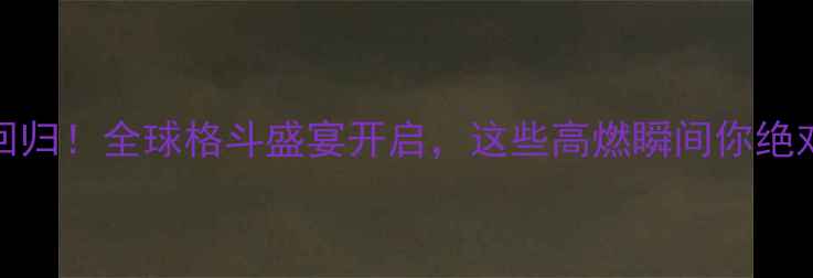 图片 🔥PRIDEFC热血回归！全球格斗盛宴开启，这些高燃瞬间你绝对不能错过！🔥1