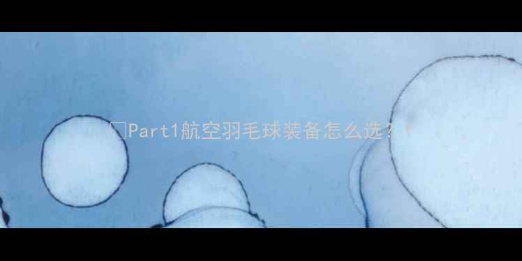 图片 🔥Part1航空羽毛球装备怎么选？1