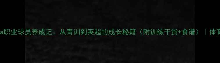 图片 🔥Yahia职业球员养成记：从青训到英超的成长秘籍（附训练干货+食谱）｜体育励志2