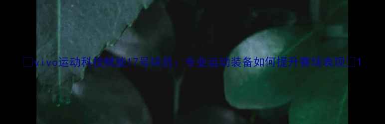图片 🔥vivo运动科技赋能17号球员：专业运动装备如何提升赛场表现🔥1