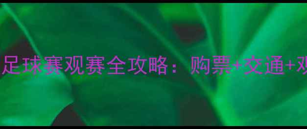 图片 🔥上海体育场足球赛观赛全攻略：购票+交通+观赛亮点全！1