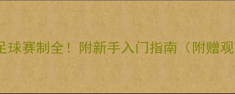 图片 🔥世界杯足球赛制全！附新手入门指南（附赠观赛彩蛋）2