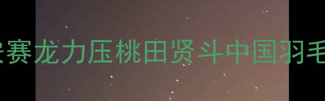 图片 🔥中国VS印尼巅峰对决！安赛龙力压桃田贤斗中国羽毛球队印尼赛高能全记录💥1