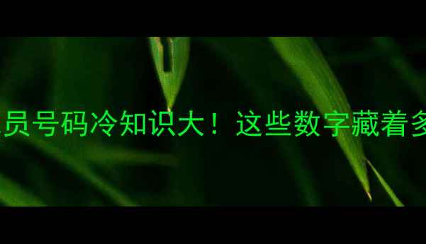 图片 🔥中国传奇球员号码冷知识大！这些数字藏着多少故事？🏆2